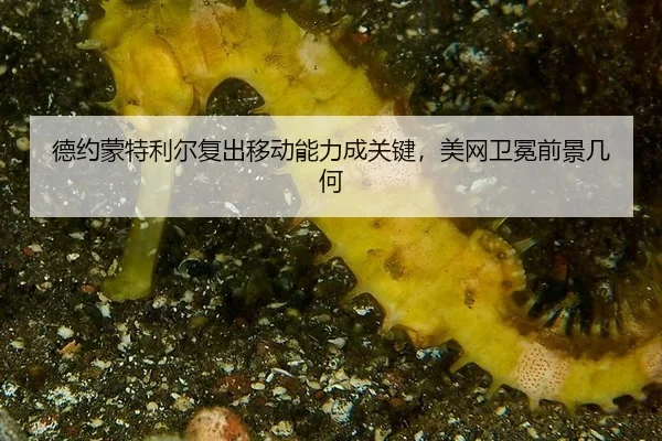 de-yue-meng-te-li-er-fu-chu-yi-dong-neng-li-cheng-guan-jian-mei-wang-wei-mian-qian-jing-ji-he-3-261.jpg